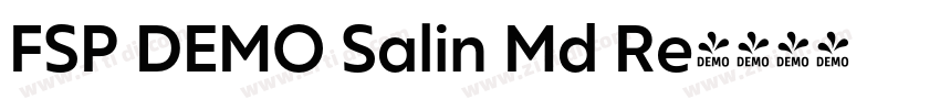 FSP DEMO Salin Md Re字体转换
